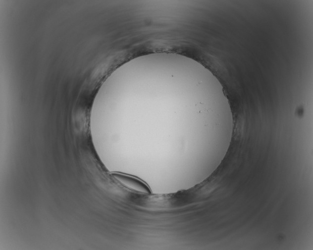 X0000116680335200912291724