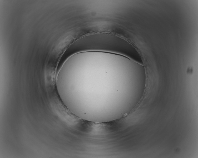 X0000116680336200912291724