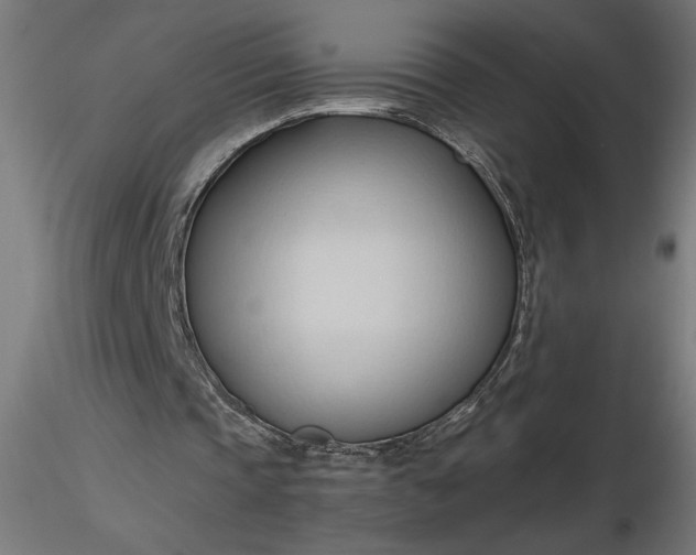 X0000116680337200912291724