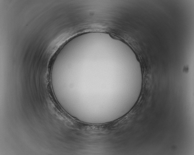 X0000116680338200912291724