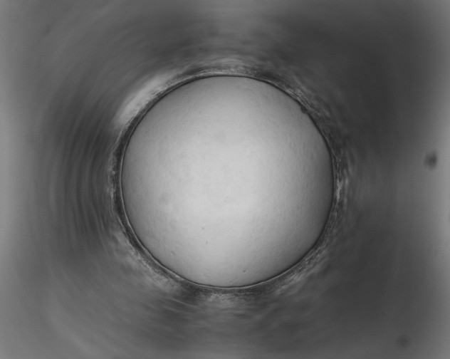 X0000116680341200912291724