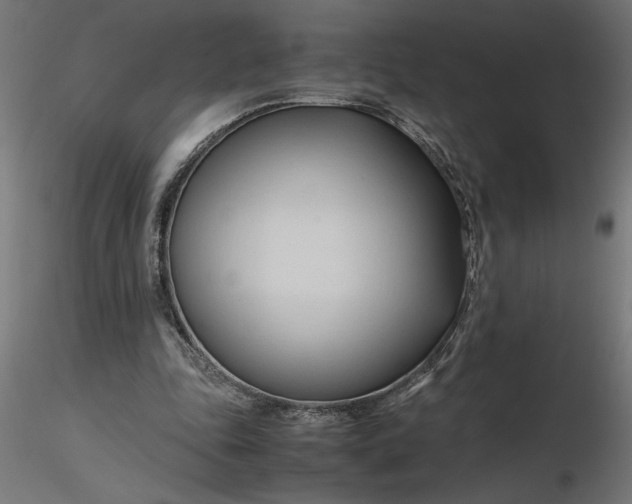 X0000116680343200912291724