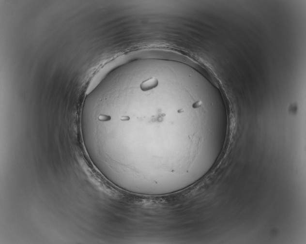 X0000116680345200912291724