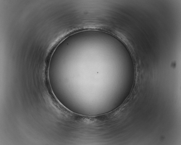 X0000116680346200912291724