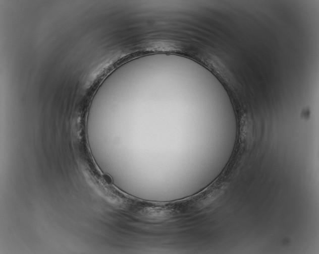 X0000116680351200912291724