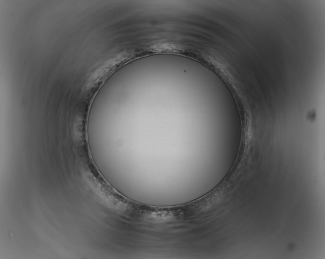 X0000116680353200912291724