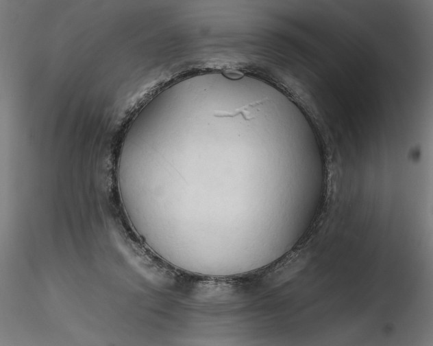 X0000116680354200912291724