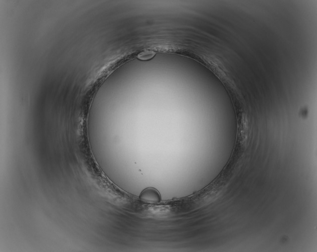 X0000116680355200912291724