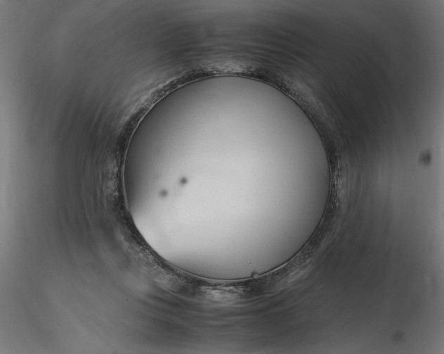 X0000116680359200912291724