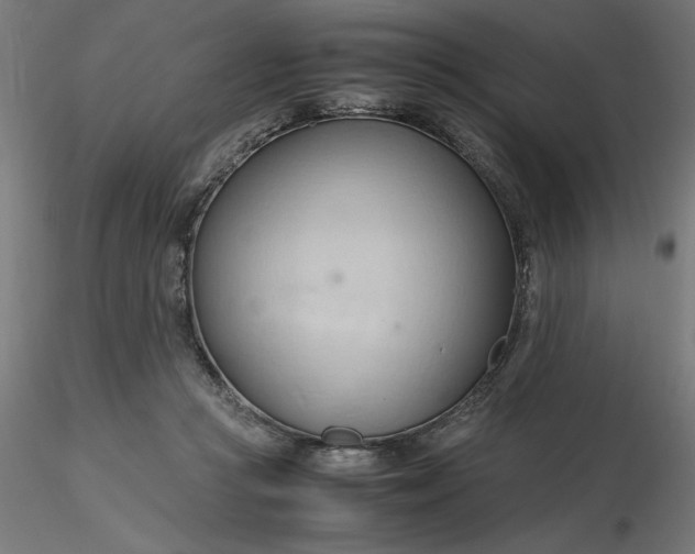 X0000116680361200912291724