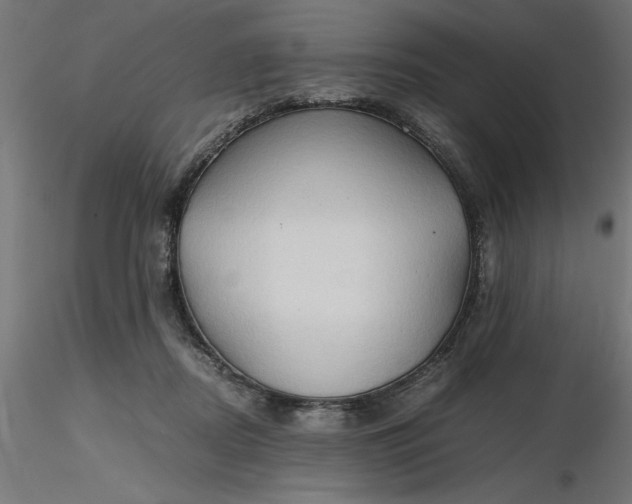 X0000116680362200912291724