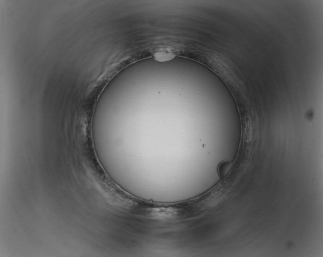 X0000116680363200912291724