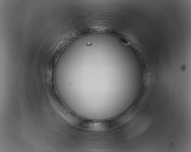 X0000116680365200912291724