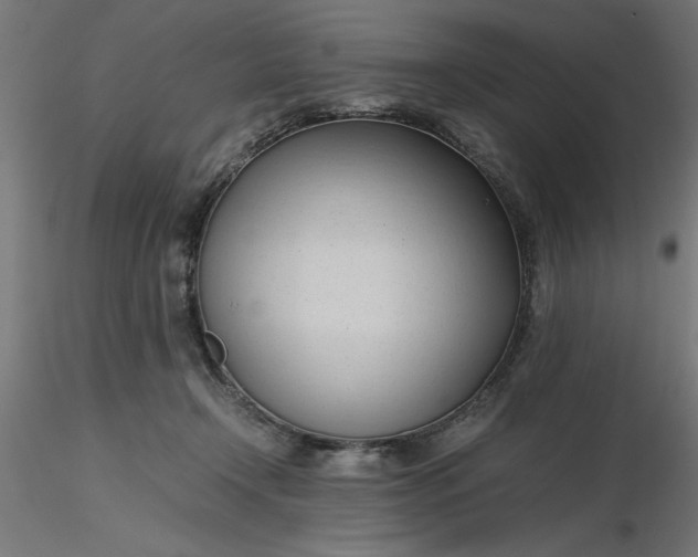 X0000116680366200912291724