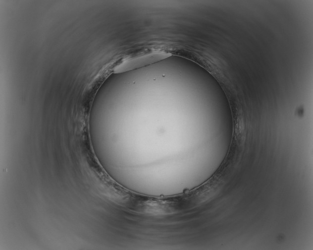 X0000116680367200912291724