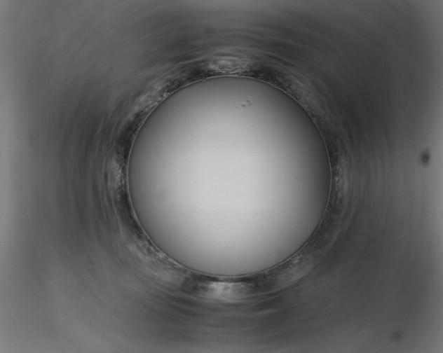 X0000116680371200912291724