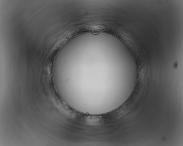 X0000116680373200912291724