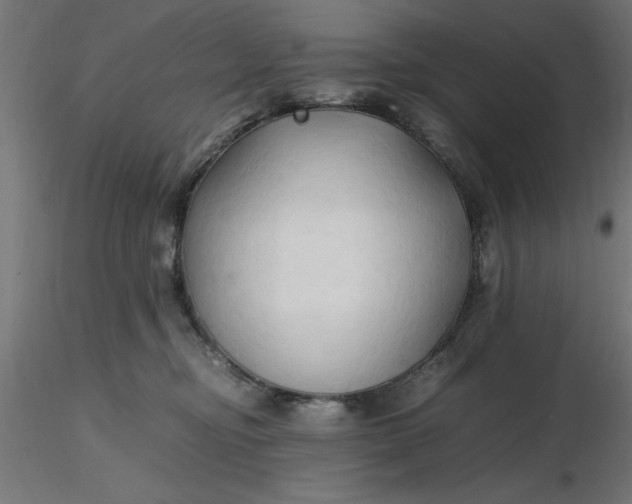 X0000116680374200912291724