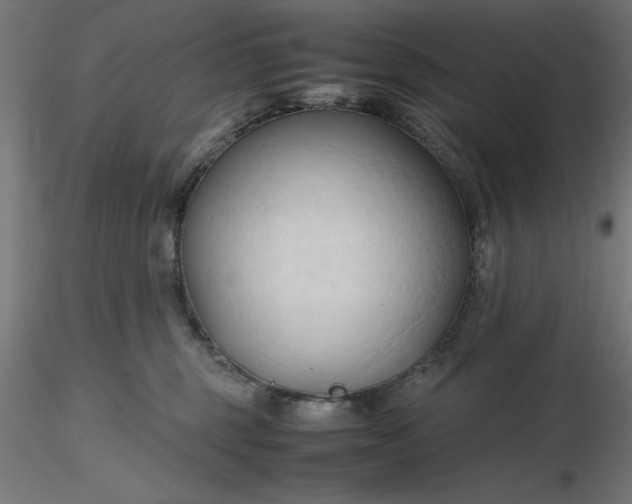 X0000116680375200912291724