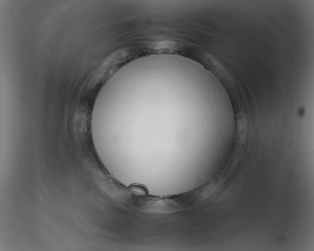 X0000116680379200912291724