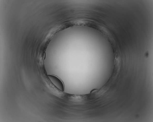 X0000116680381200912291724