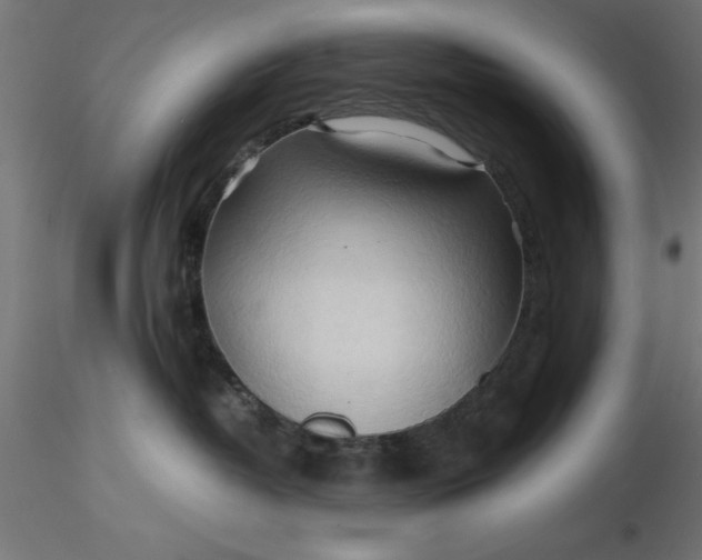 X0000116680382200912291724