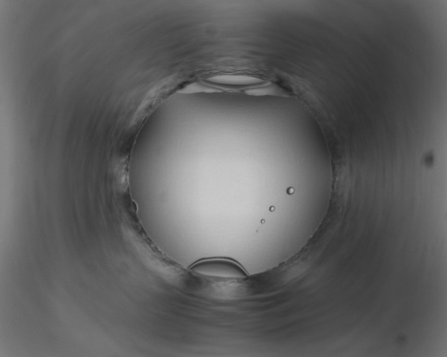 X0000116680383200912291724