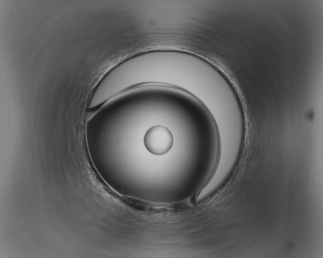 X0000116680385200912291724