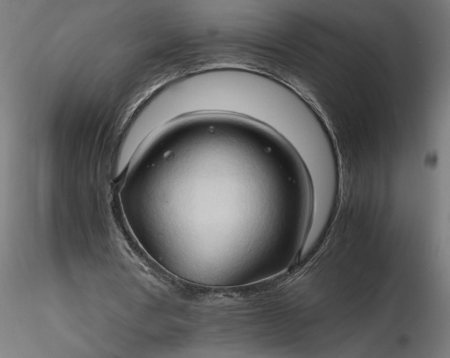 X0000116680386200912291724