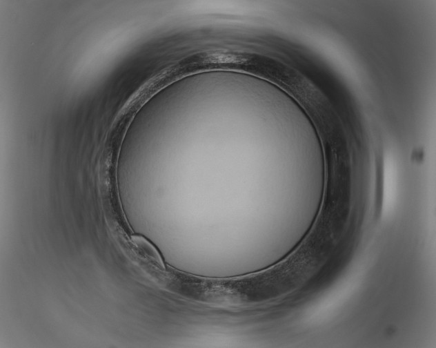 X0000116680387200912291724