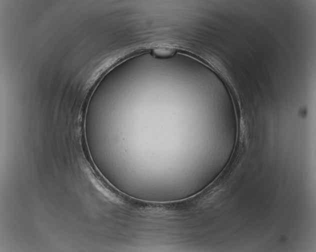 X0000116680389200912291724