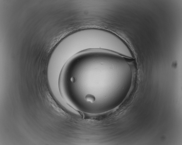 X0000116680393200912291724