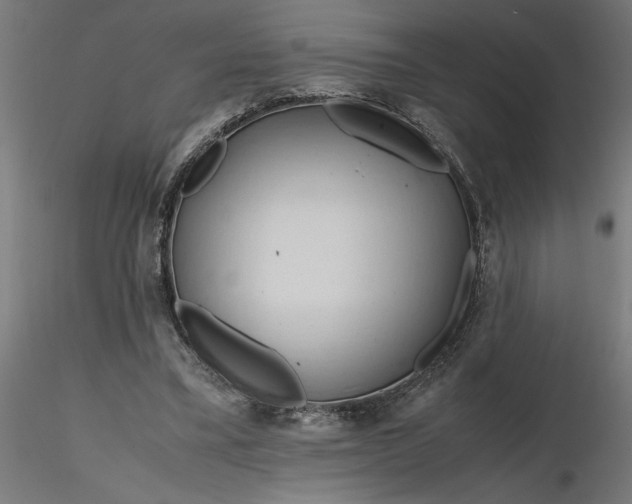 X0000116680395200912291724