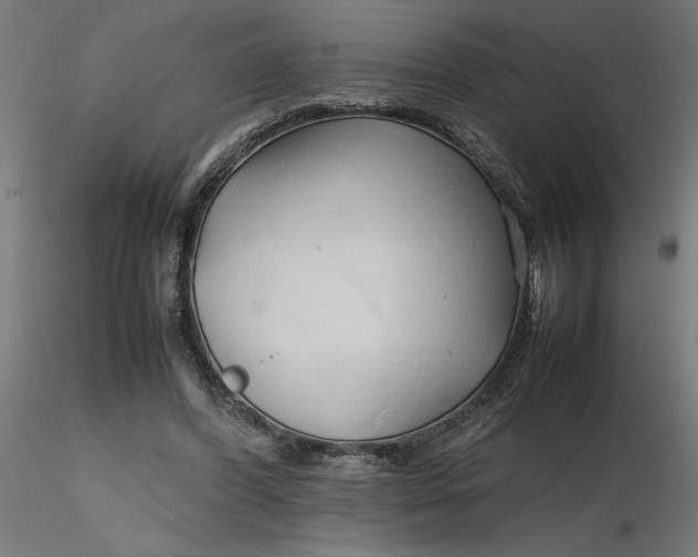 X0000116680396200912291724