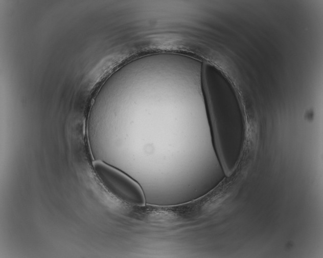 X0000116680397200912291724