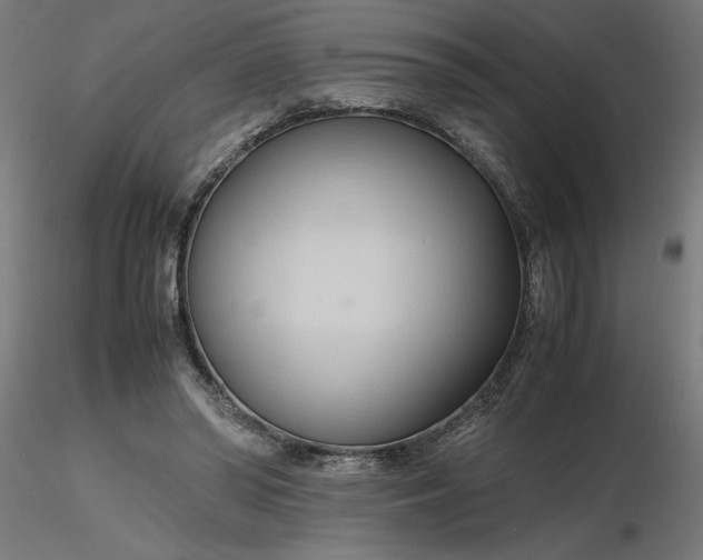 X0000116680398200912291724