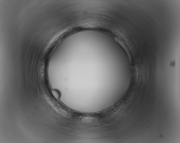 X0000116680400200912291724