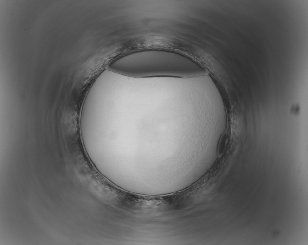 X0000116680401200912291724