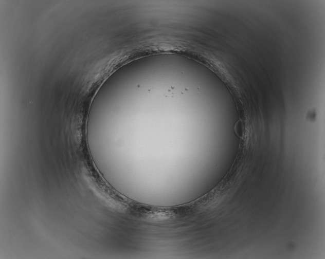 X0000116680402200912291724