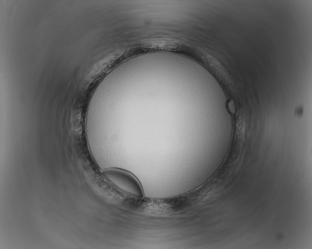 X0000116680403200912291723