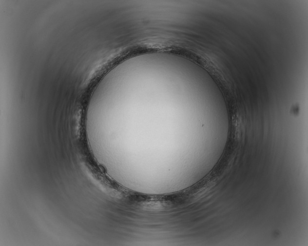 X0000116680404200912291723