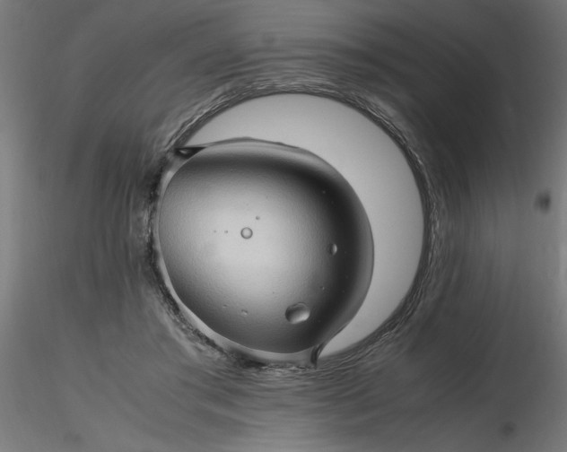 X0000116680405200912291723