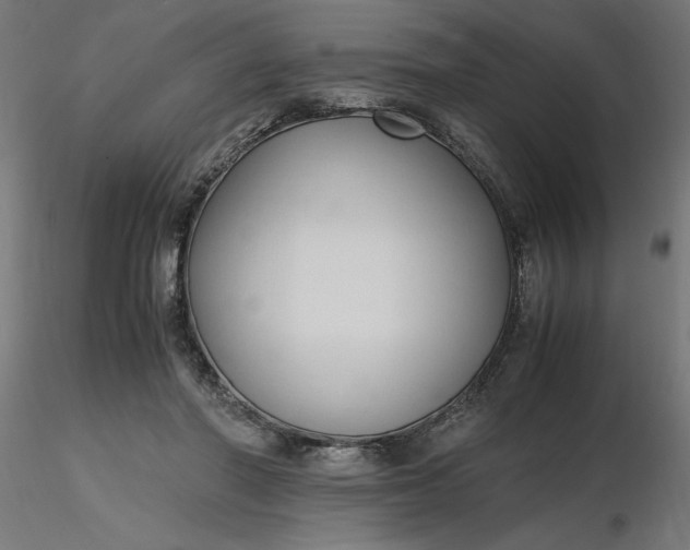 X0000116680406200912291723