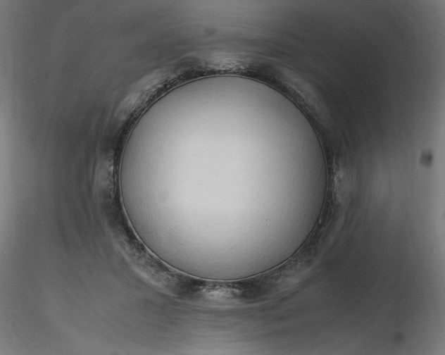 X0000116680407200912291723