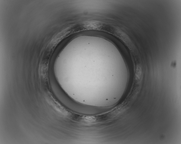 X0000116680409200912291723