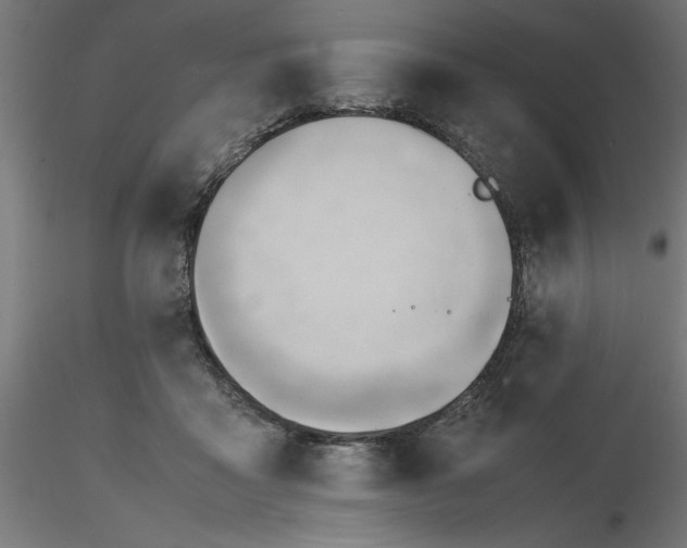 X0000116680411200912291723