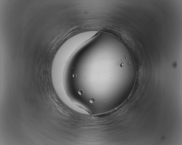 X0000116680413200912291723