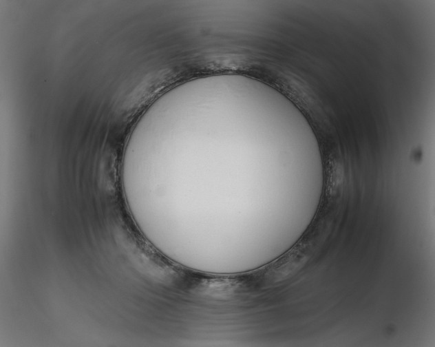 X0000116680414200912291723