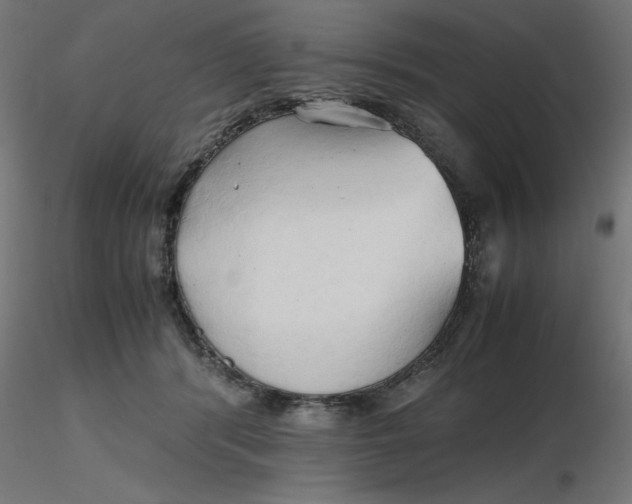 X0000116680416200912291723