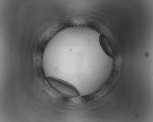 X0000116680417200912291723